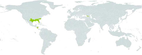Fimbristylis decipiens world distribution map, present in Åland Islands, Georgia, Nicaragua, and United States of America