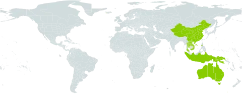Fimbristylis insignis world distribution map, present in Australia, China, Indonesia, Iceland, Lao People's Democratic Republic, Malaysia, Philippines, Papua New Guinea, Thailand, and Viet Nam