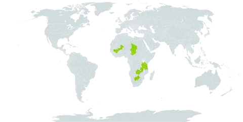 Floscopa leiothyrsa world distribution map, present in Botswana, Mali, Chad, Tanzania, United Republic of, and Zambia