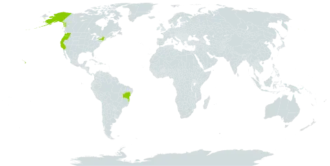 Fragaria chiloensis world distribution map, present in Brazil and United States of America