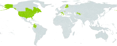 Fragaria virginiana world distribution map, present in Canada, Colombia, Finland, France, Italy, Saint Pierre and Miquelon, Slovakia, United States of America, and Uzbekistan