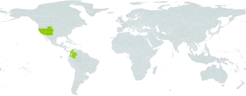 Fraxinus anomala world distribution map, present in Colombia and United States of America