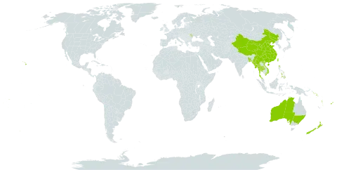 Freycinetia world distribution map, present in Andorra, Australia, Bangladesh, China, Cook Islands, Fiji, Moldova (Republic of), Myanmar, Norfolk Island, New Zealand, Philippines, Solomon Islands, Thailand, Tonga, Taiwan, Province of China, United States of America, Viet Nam, Vanuatu, Wallis and Futuna, and Samoa