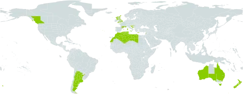 Fumaria bastardii world distribution map, present in Argentina, Australia, Canada, Algeria, Spain, France, United Kingdom of Great Britain and Northern Ireland, Gibraltar, Greece, Croatia, Italy, Lebanon, Libya, Morocco, Malta, New Zealand, Portugal, and Tunisia