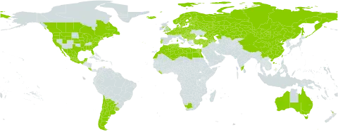 Fumaria officinalis world distribution map, present in Albania, Argentina, Armenia, Australia, Austria, Azerbaijan, Belgium, Bulgaria, Bosnia and Herzegovina, Belarus, Canada, Switzerland, Chile, China, Costa Rica, Cyprus, Czech Republic, Germany, Denmark, Algeria, Egypt, Spain, Estonia, Finland, France, United Kingdom of Great Britain and Northern Ireland, Georgia, Greece, Croatia, Hungary, India, Iceland, Italy, Kazakhstan, Lebanon, Liberia, Libya, Liechtenstein, Lithuania, Luxembourg, Latvia, Morocco, Mexico, North Macedonia, Malta, Montenegro, Mongolia, Netherlands, Norway, New Zealand, Poland, Portugal, Romania, Russian Federation, Saint Pierre and Miquelon, Serbia, Slovakia, Slovenia, Sweden, Syrian Arab Republic, Tunisia, Turkey, Taiwan, Province of China, Ukraine, Uruguay, United States of America, and South Africa