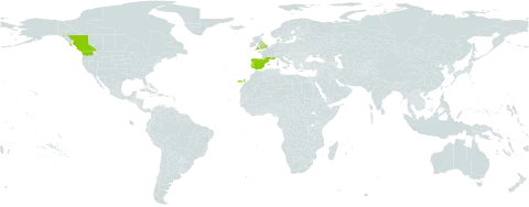 Fumaria reuteri world distribution map, present in Canada, Spain, France, United Kingdom of Great Britain and Northern Ireland, Portugal, and United States of America