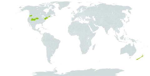 Galega world distribution map, present in New Zealand and United States of America