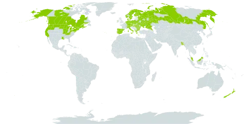 Galeopsis tetrahit world distribution map, present in Albania, Austria, Bangladesh, Bulgaria, Belarus, Canada, Switzerland, Czech Republic, Germany, Denmark, Spain, Finland, France, Micronesia (Federated States of), Greece, Hungary, Ireland, Italy, Malaysia, Netherlands, Norway, Nepal, New Zealand, Poland, Portugal, Romania, Russian Federation, Sweden, Ukraine, and United States of America