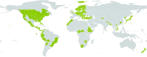 Galinsoga quadriradiata world distribution map, present in Argentina, Austria, Belgium, Bangladesh, Bulgaria, Bahamas, Bosnia and Herzegovina, Belarus, Bolivia (Plurinational State of), Brazil, Central African Republic, Canada, Switzerland, China, Cameroon, Colombia, Cabo Verde, Costa Rica, Cyprus, Czech Republic, Germany, Dominica, Denmark, Ecuador, Eritrea, Spain, Estonia, Ethiopia, Finland, France, United Kingdom of Great Britain and Northern Ireland, Georgia, Guadeloupe, Equatorial Guinea, Greece, Guatemala, Honduras, Croatia, Hungary, Italy, Jamaica, Japan, Liechtenstein, Lithuania, Luxembourg, Latvia, Morocco, Moldova (Republic of), Mexico, North Macedonia, Montenegro, Martinique, Nicaragua, Netherlands, Norway, Nepal, New Zealand, Panama, Peru, Poland, Puerto Rico, Korea (Democratic People's Republic of), Portugal, Romania, Russian Federation, El Salvador, Serbia, Slovakia, Slovenia, Sweden, eSwatini, Tajikistan, Turkey, Taiwan, Province of China, Ukraine, United States of America, Venezuela (Bolivarian Republic of), Viet Nam, South Africa, and Zimbabwe
