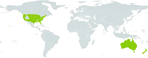 Galinsoga world distribution map, present in Australia, New Zealand, and United States of America