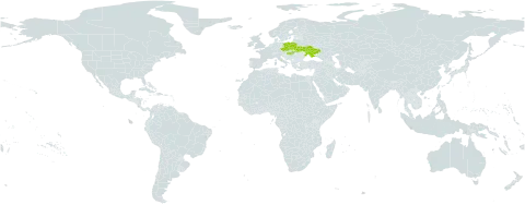 Galium abaujense world distribution map, present in Czech Republic, Hungary, Poland, and Ukraine
