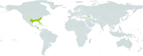Galium bermudense world distribution map, present in Åland Islands, Bahamas, Bermuda, Georgia, Nicaragua, and United States of America