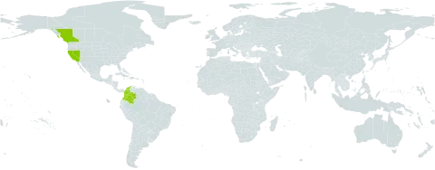 Galium multiflorum world distribution map, present in Canada, Colombia, and United States of America