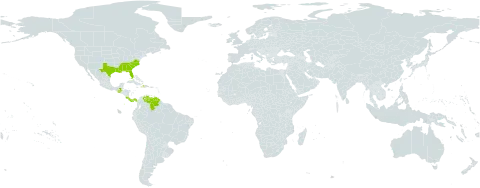 Galium orizabense world distribution map, present in Åland Islands, Costa Rica, Dominica, Guatemala, Haiti, Panama, United States of America, and Venezuela (Bolivarian Republic of)