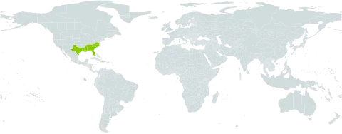 Galium orizabense subsp. laevicaule world distribution map, present in Åland Islands, Dominica, Haiti, and United States of America