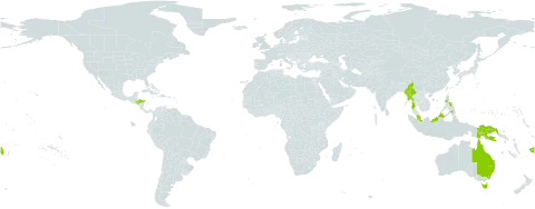 Garcinia dulcis world distribution map, present in Australia, Fiji, Honduras, Indonesia, India, Myanmar, Malaysia, Philippines, Papua New Guinea, Puerto Rico, and Trinidad and Tobago