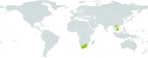 Garcinia hanburyi world distribution map, present in Cambodia, Lao People's Democratic Republic, Viet Nam, and South Africa