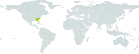 Gaylussacia tomentosa world distribution map, present in United States of America