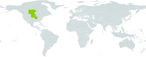 Gentiana andrewsii var. dakotica world distribution map, present in Canada and United States of America