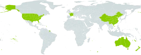 Gentiana world distribution map, present in Australia, China, France, New Zealand, and United States of America