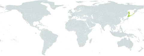 Gentiana makinoi world distribution map, present in Japan and Russian Federation