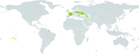 Gentiana pyrenaica world distribution map, present in Armenia, Azerbaijan, Bulgaria, France, Georgia, Poland, and Ukraine