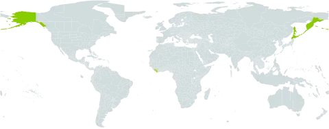 Gentianella auriculata world distribution map, present in Japan, Liberia, Russian Federation, and United States of America