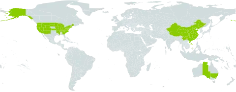 Gentianella world distribution map, present in Australia, China, and United States of America