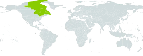 Gentianopsis nesophila world distribution map, present in Canada