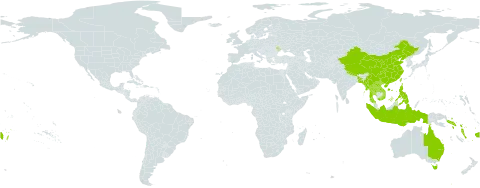 Geodorum densiflorum world distribution map, present in Andorra, Australia, Bangladesh, China, Fiji, Indonesia, Lao People's Democratic Republic, Moldova (Republic of), Myanmar, Nepal, Philippines, Solomon Islands, Thailand, Tonga, Taiwan, Province of China, Viet Nam, Vanuatu, and Samoa