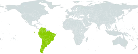 Geoffroea decorticans world distribution map, present in Argentina, American Samoa, Bolivia (Plurinational State of), Brazil, Chile, Colombia, Ecuador, Peru, Paraguay, Uruguay, and Venezuela (Bolivarian Republic of)