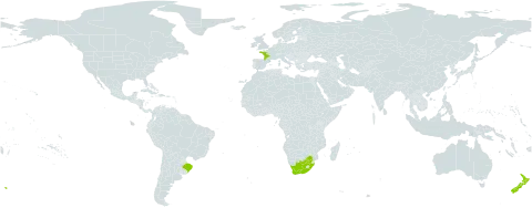 Geranium purpureum world distribution map, present in Brazil, France, New Zealand, and South Africa