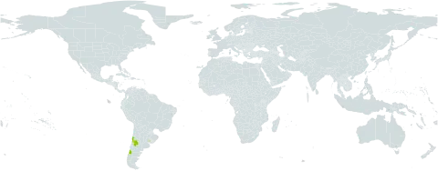 Gilia valdiviensis world distribution map, present in Argentina, Chile, and Uruguay