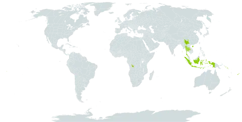 Gironniera world distribution map, present in China, Congo (Democratic Republic of the), Fiji, Micronesia (Federated States of), Hong Kong, Indonesia, Isle of Man, India, Sri Lanka, Palau, Solomon Islands, Thailand, and Samoa