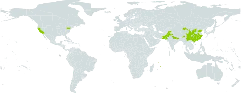Gleditsia sinensis world distribution map, present in China, India, Mauritius, Pakistan, and United States of America