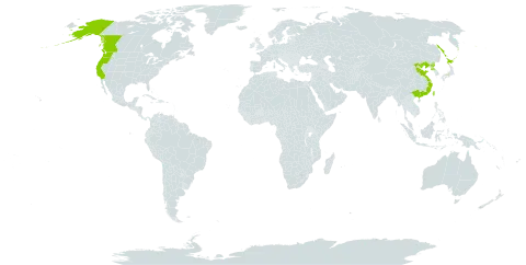 Glehnia littoralis world distribution map, present in Canada, China, Japan, Korea (Democratic People's Republic of), Russian Federation, Taiwan, Province of China, and United States of America