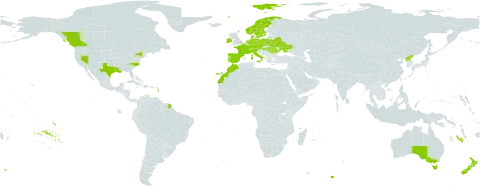 Glyceria declinata world distribution map, present in Australia, Austria, Belarus, Canada, Switzerland, Czech Republic, Germany, Denmark, Spain, France, Hungary, Ireland, Italy, Morocco, Netherlands, Norway, New Zealand, Poland, Korea (Democratic People's Republic of), Portugal, Romania, Sweden, Ukraine, and United States of America