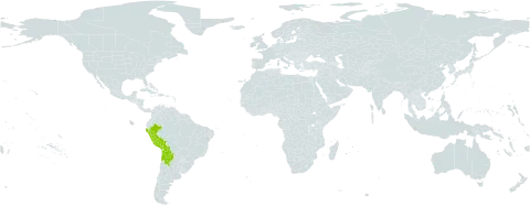 Gomphrena meyeniana world distribution map, present in Argentina, Bolivia (Plurinational State of), Chile, and Peru