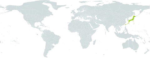 Goniophlebium formosanum world distribution map, present in China, Japan, and Taiwan, Province of China
