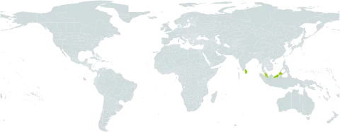 Gonystylus bancanus world distribution map, present in Indonesia, Iceland, Sri Lanka, and Malaysia