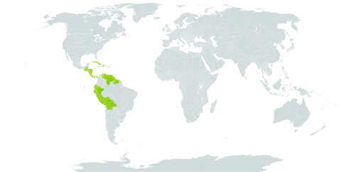 Gonzalagunia world distribution map, present in Belize, Bolivia (Plurinational State of), Costa Rica, Cuba, Dominica, Ecuador, Guatemala, Guyana, Honduras, Haiti, Jamaica, Nicaragua, Panama, Peru, Puerto Rico, Suriname, and Venezuela (Bolivarian Republic of)