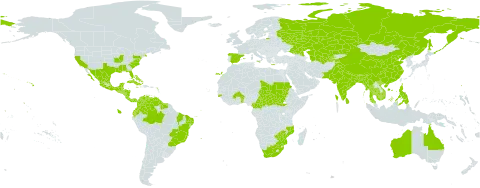 Gossypium hirsutum world distribution map, present in French Southern Territories, Antigua and Barbuda, Australia, Benin, Bonaire, Sint Eustatius and Saba, Burkina Faso, Bangladesh, Bahamas, Belize, Brazil, Bhutan, Central African Republic, China, Cameroon, Colombia, Cabo Verde, Costa Rica, Cuba, Dominica, Ecuador, Spain, Guadeloupe, Guinea-Bissau, Greece, Guatemala, French Guiana, Guyana, Honduras, Indonesia, India, Italy, Jamaica, Kazakhstan, Cambodia, Sri Lanka, Mexico, Myanmar, Mozambique, Martinique, Nicaragua, Nepal, Pakistan, Panama, Philippines, Puerto Rico, Russian Federation, Sudan, El Salvador, South Sudan, Sao Tome and Principe, Suriname, Seychelles, Turks and Caicos Islands, Chad, Togo, Thailand, Tajikistan, Turkmenistan, Trinidad and Tobago, United States Minor Outlying Islands, United States of America, Uzbekistan, Venezuela (Bolivarian Republic of), Viet Nam, South Africa, and Zimbabwe