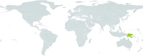 Grammitis bolobensis world distribution map, present in Papua New Guinea