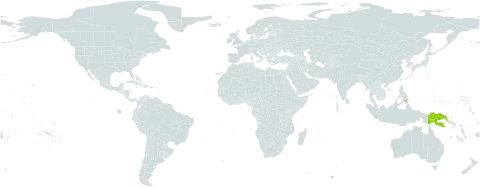 Grammitis multicaudata world distribution map, present in Indonesia, Philippines, and Papua New Guinea