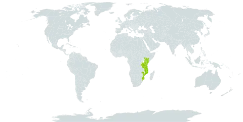 Grandidiera boivinii world distribution map, present in Kenya, Mozambique, and Tanzania, United Republic of