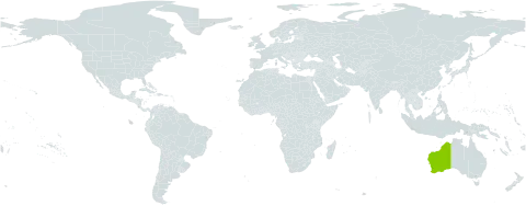 Grevillea leucopteris world distribution map, present in Australia