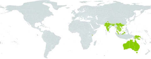 Grewia abutilifolia world distribution map, present in Australia, Bangladesh, China, Indonesia, India, Kenya, Cambodia, Lao People's Democratic Republic, Myanmar, Malaysia, Papua New Guinea, Thailand, Taiwan, Province of China, and Viet Nam