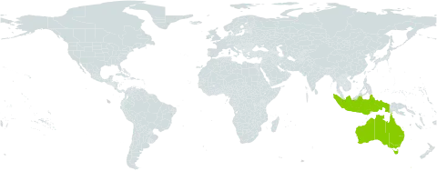 Grona pullenii world distribution map, present in Australia and Indonesia