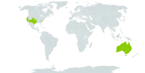 Guilleminea world distribution map, present in Australia and United States of America