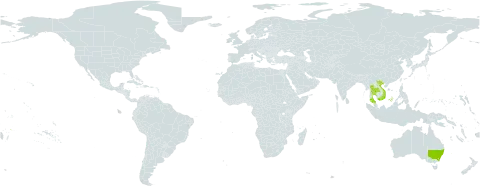 Guioa world distribution map, present in Australia, Thailand, Viet Nam, and Samoa
